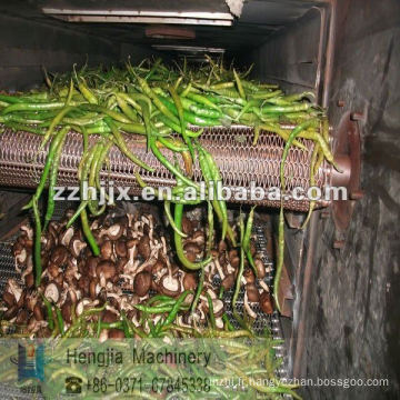 produits agricoles sèche-linge/sèche-linge machine/champignon sèche